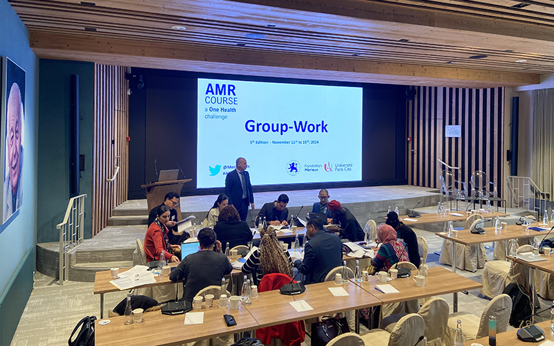 Dans une salle de conférence, plusieurs personnes travaillent en groupe autour d'une table